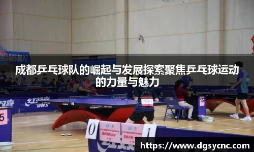 成都乒乓球队的崛起与发展探索聚焦乒乓球运动的力量与魅力