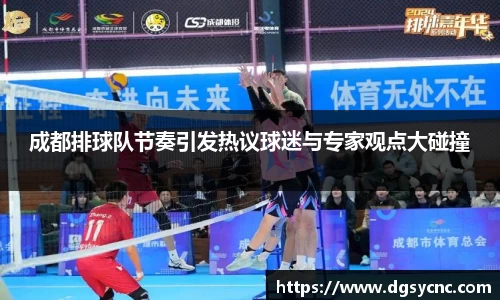 成都排球队节奏引发热议球迷与专家观点大碰撞